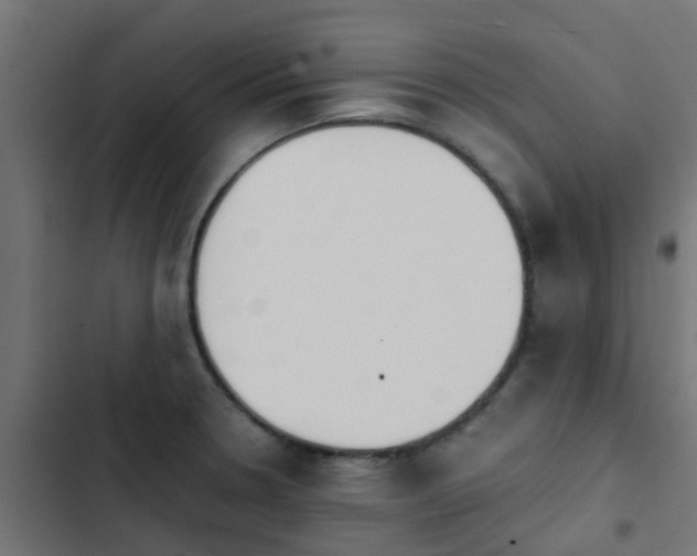 X0000103961330200809261802