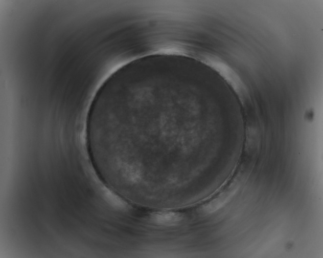 X0000103961331200809261802