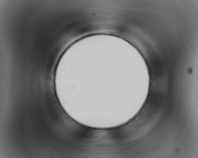 X0000103961332200809261802