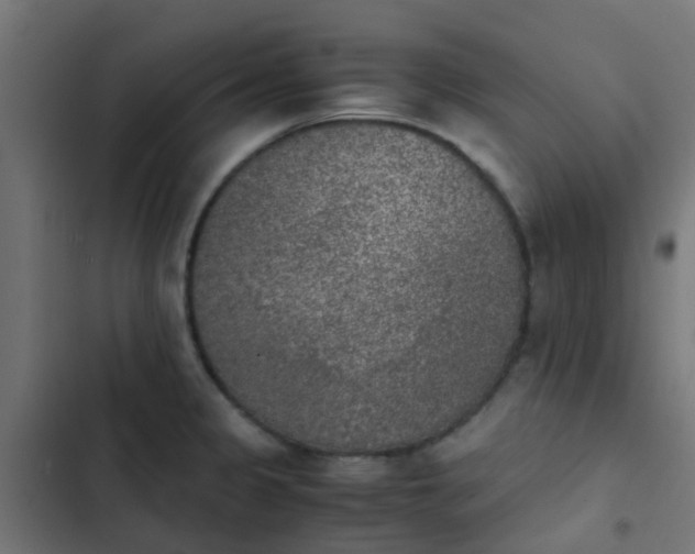 X0000103961333200809261802