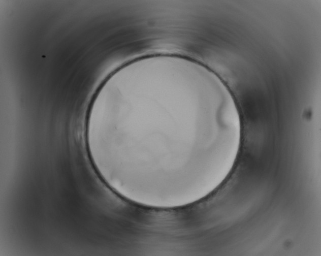 X0000103961334200809261802