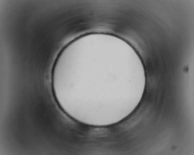 X0000103961335200809261802