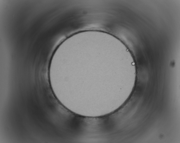 X0000103961336200809261802