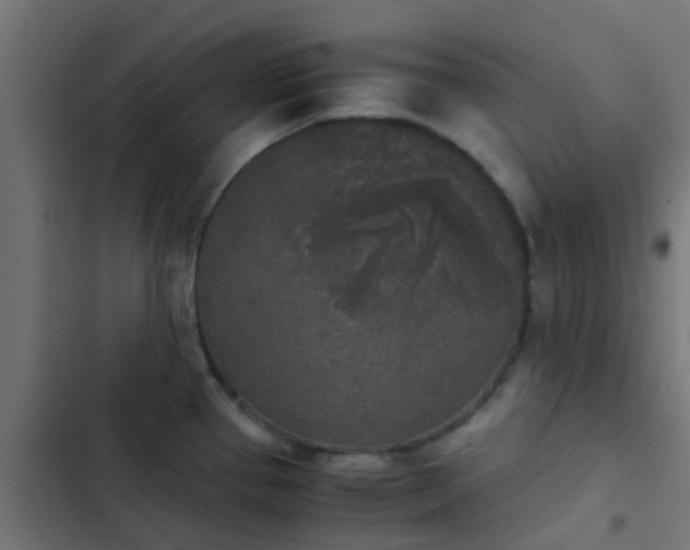 X0000103961337200809261802