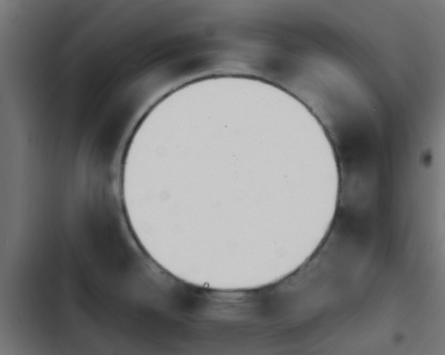 X0000103961342200809261802