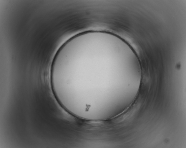 X0000103961343200809261802