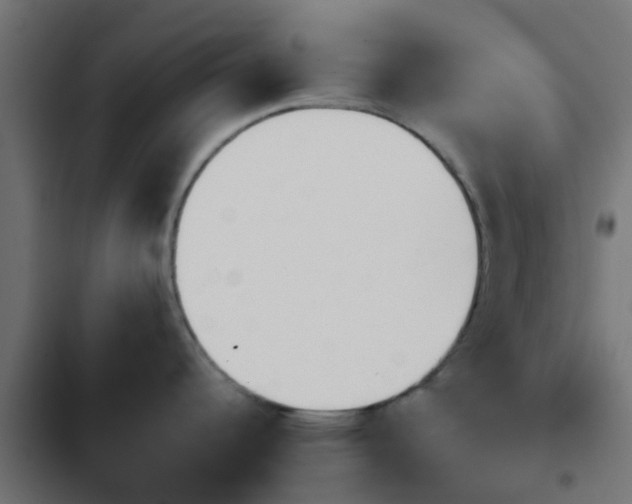 X0000103961344200809261802