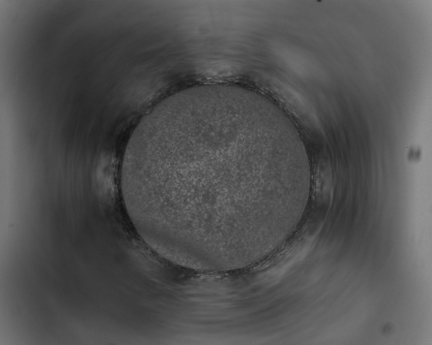X0000103961346200809261801