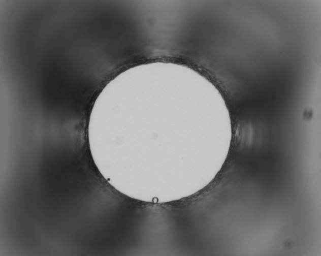 X0000103961348200809261801