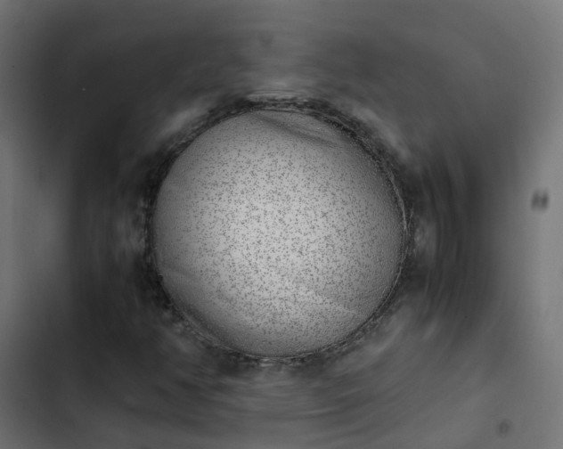 X0000103961350200809261801