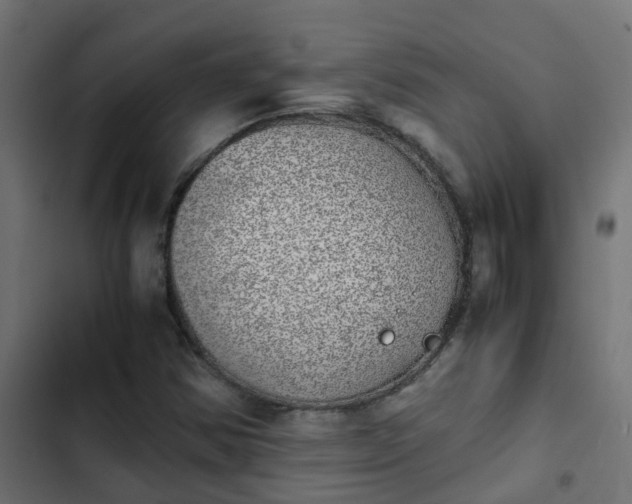 X0000103961354200809261801