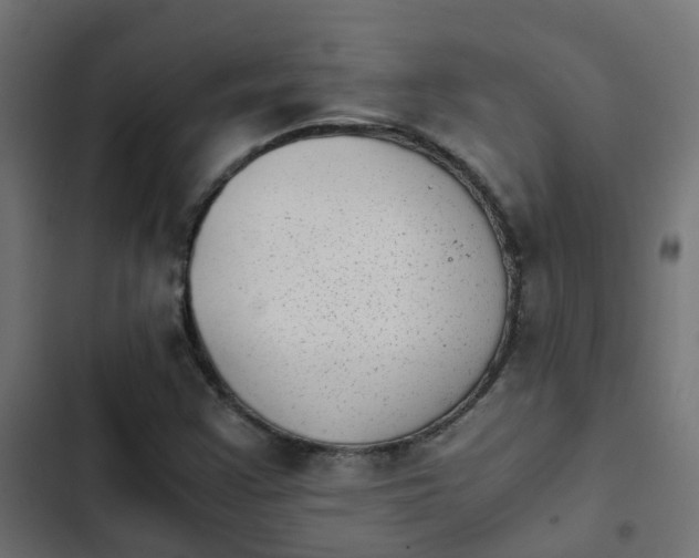 X0000103961355200809261801