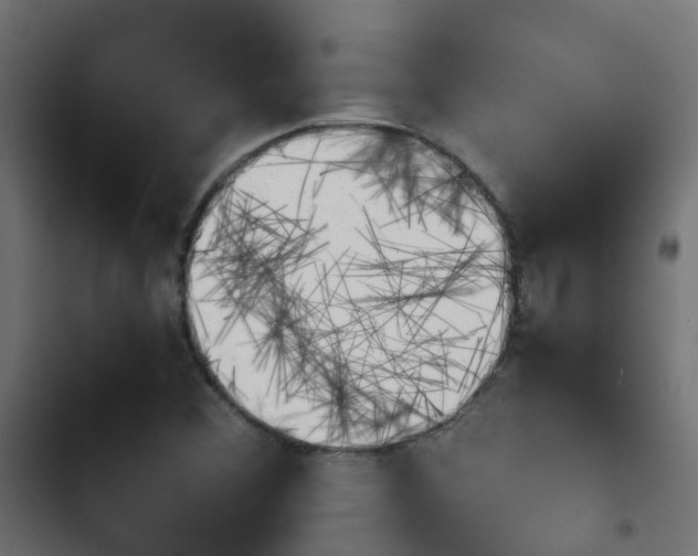 X0000103961356200809261801