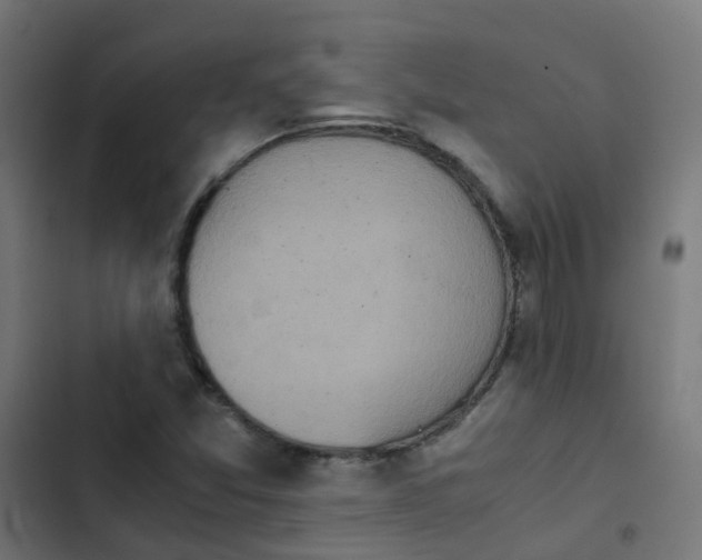 X0000103961357200809261801