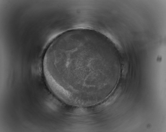 X0000103961358200809261801