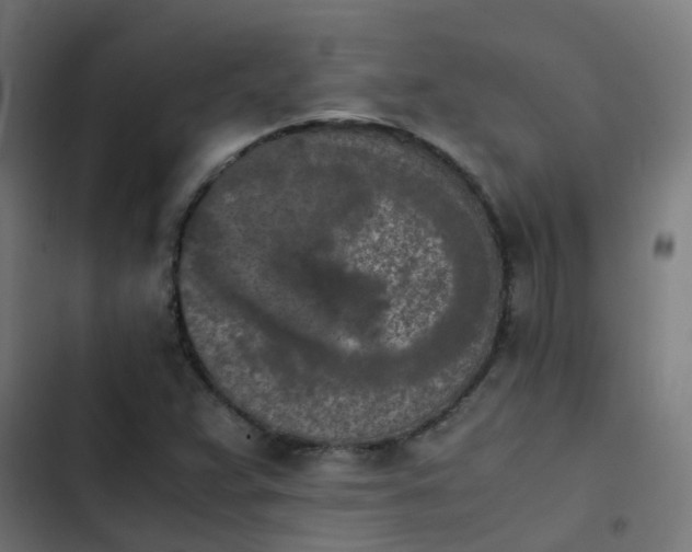 X0000103961359200809261801