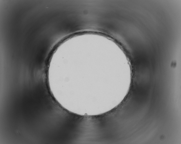 X0000103961360200809261801