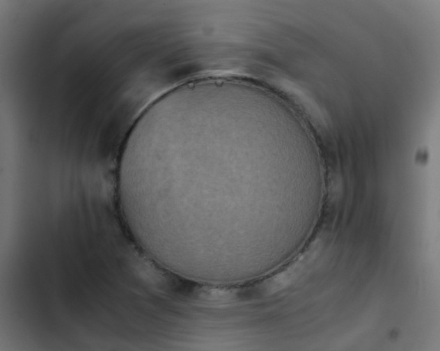 X0000103961361200809261801