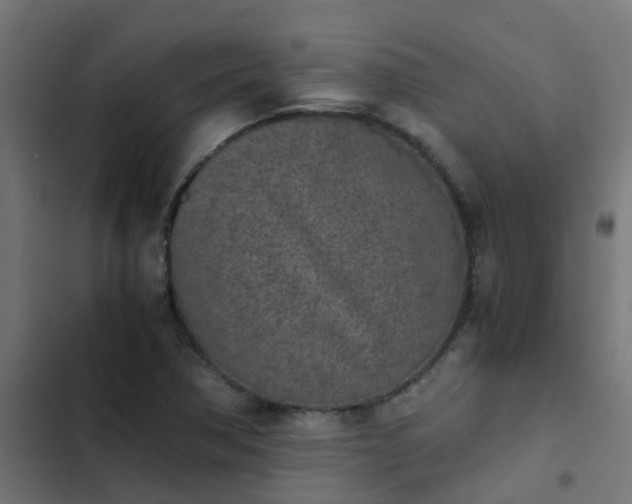 X0000103961362200809261801