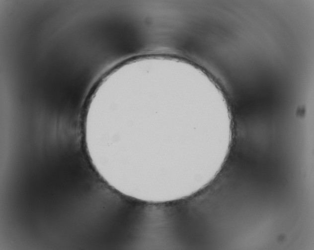X0000103961364200809261801