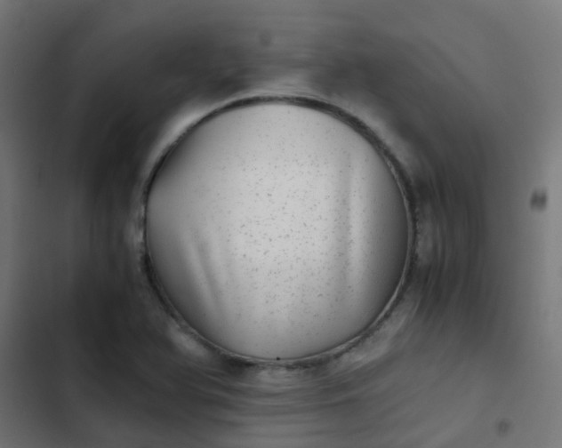 X0000103961366200809261801