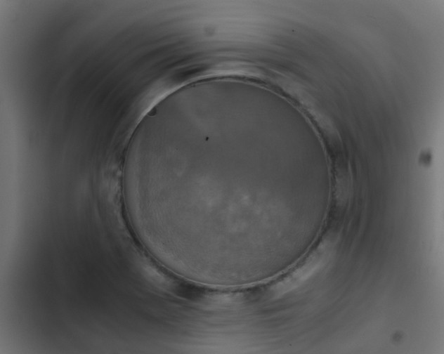 X0000103961369200809261801