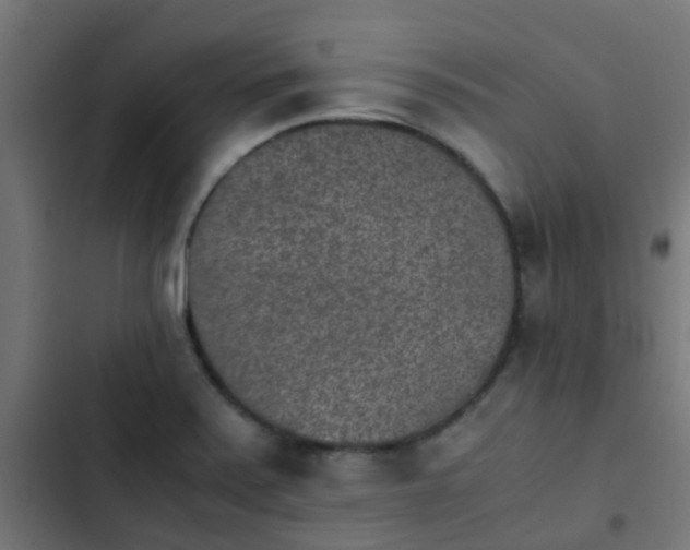 X0000103961371200809261801