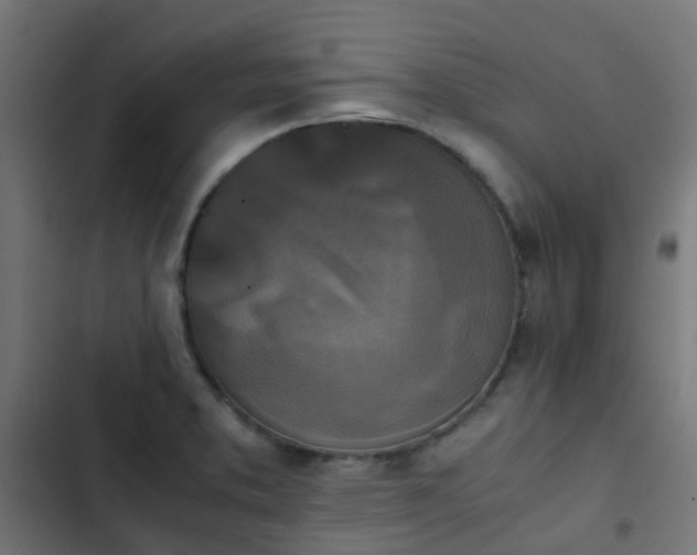 X0000103961373200809261801