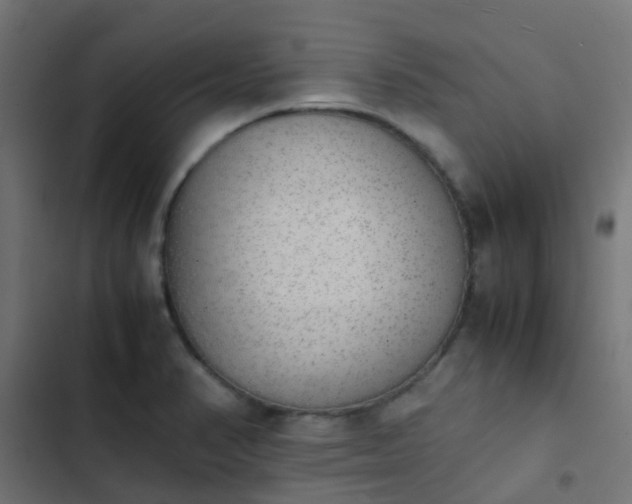 X0000103961374200809261801