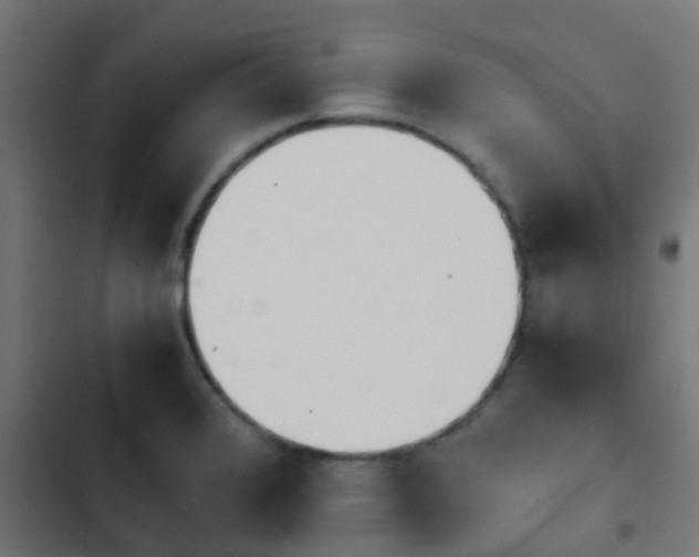 X0000103961376200809261801
