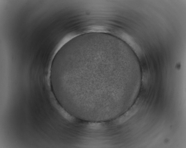 X0000103961378200809261801