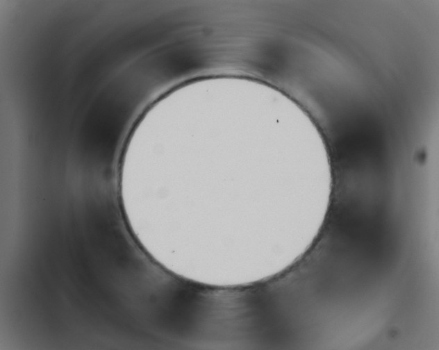 X0000103961380200809261801