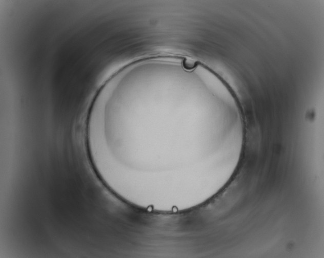 X0000103961381200809261801