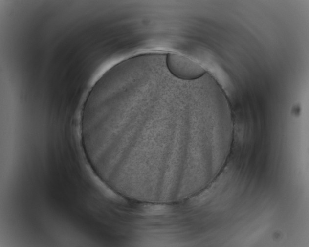 X0000103961382200809261801