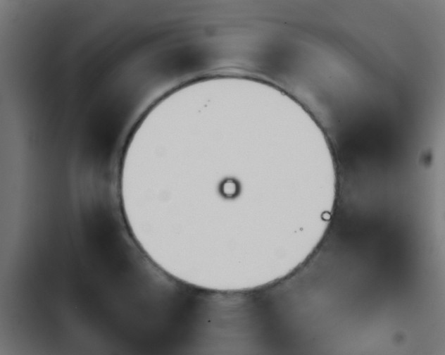 X0000103961384200809261801