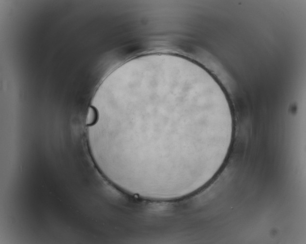 X0000103961385200809261801