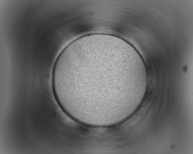 X0000103961387200809261801