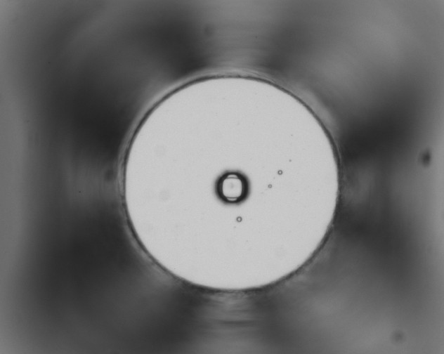 X0000103961388200809261801