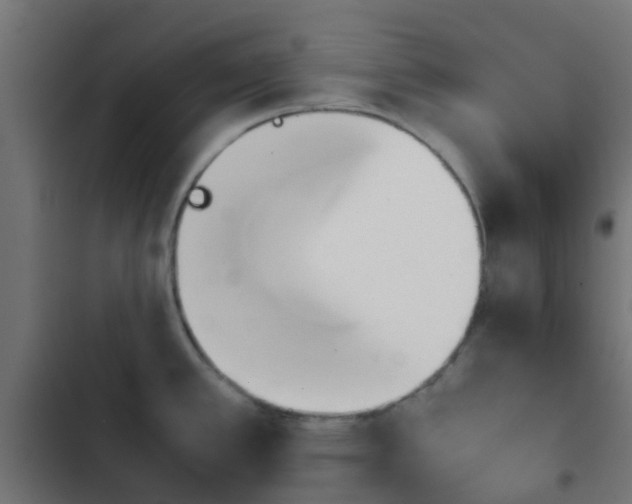 X0000103961389200809261801