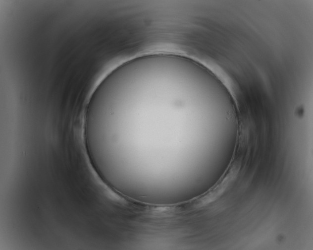 X0000103961390200809261801