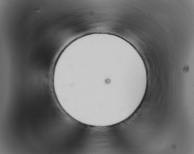 X0000103961392200809261801