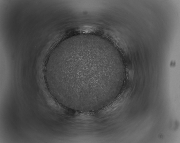X0000103961393200809261800