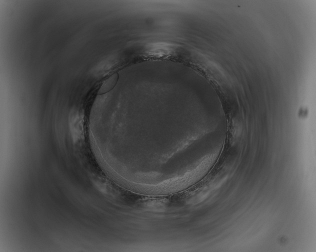 X0000103961394200809261800