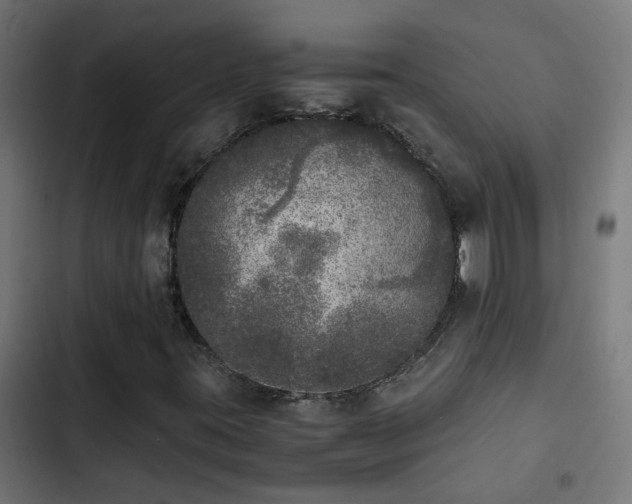 X0000103961395200809261800