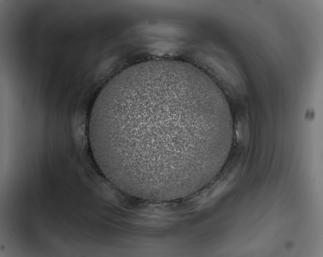 X0000103961396200809261800