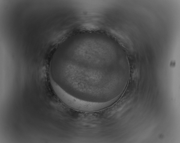 X0000103961397200809261800