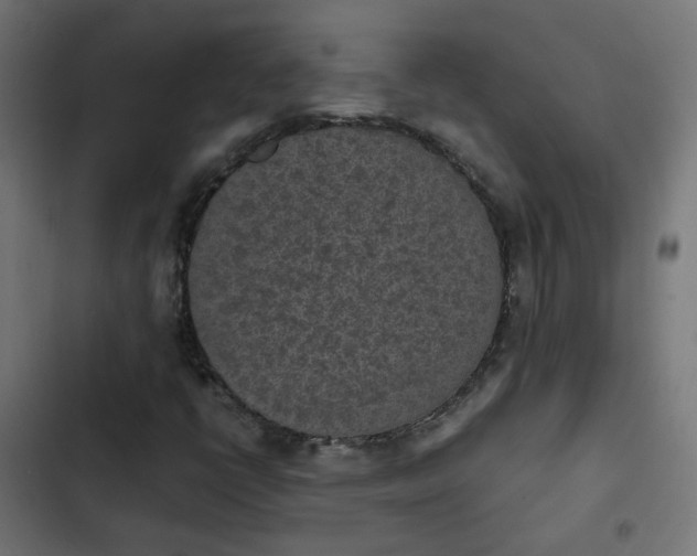 X0000103961398200809261800