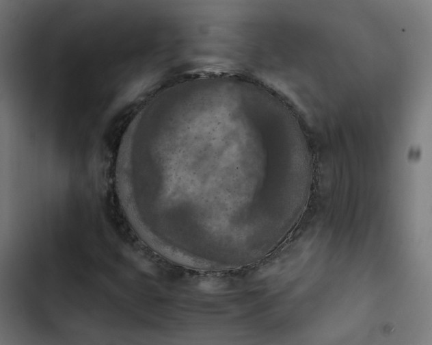X0000103961399200809261800