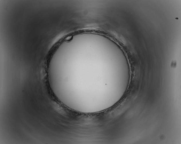 X0000103961400200809261800