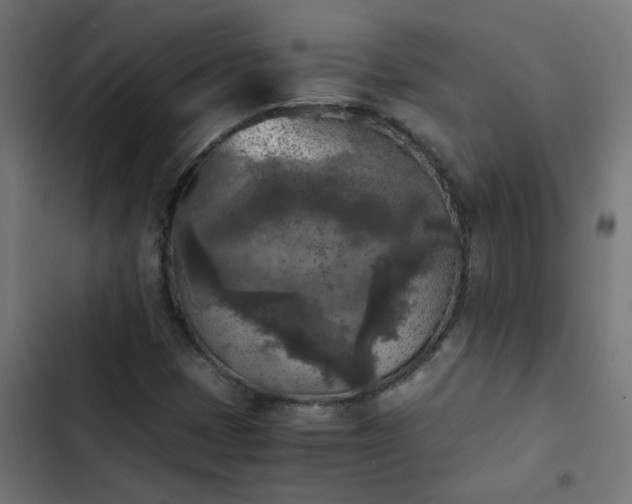 X0000103961401200809261800